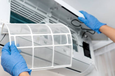 Revizii și igienizări